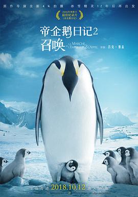 海报背景