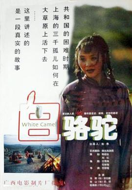 海报背景